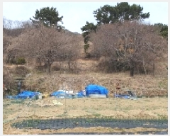  2025Ÿ20396 泲 â    245     (1)