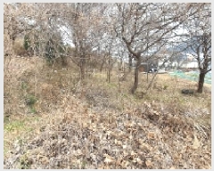  2025Ÿ20396 泲 â    245     (1)