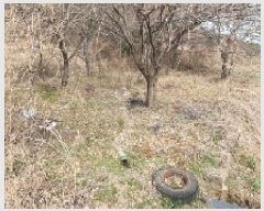  2025Ÿ20396 泲 â    245     (1)