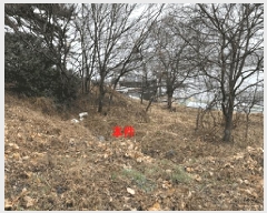  2025Ÿ20396 泲 â    245     (1)