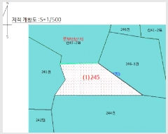  2025Ÿ20396 泲 â    245     (1)
