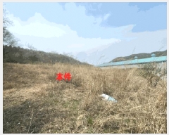  2025Ÿ20437 泲 Ծȱ ĥ ȸ긮 1098      (1)