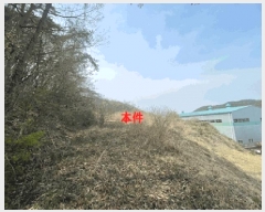  2025Ÿ20437 泲 Ծȱ ĥ ȸ긮 1098      (1)