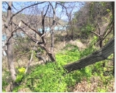  2025Ÿ20437 泲 Ծȱ ĥ ȸ긮 1098      (1)