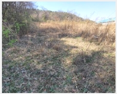  2025Ÿ20437 泲 Ծȱ ĥ ȸ긮 1098      (1)