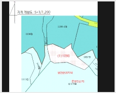  2025Ÿ20437 泲 Ծȱ ĥ ȸ긮 1098      (1)