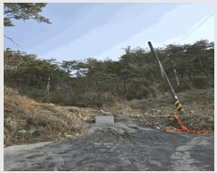  2025Ÿ20462 泲 Ծȱ θ ԰ 253      (Ӿ)