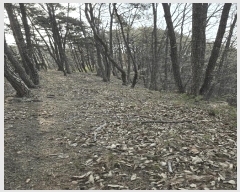  2025Ÿ20462 泲 Ծȱ θ ԰ 253      (Ӿ)