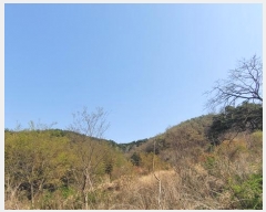  2025Ÿ20462 泲 Ծȱ θ ԰ 253      (Ӿ)