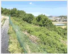  2025Ÿ20529 泲 Ծȱ ĥϸ ȭõ 306      (1)