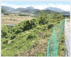  2025Ÿ20529 泲 Ծȱ ĥϸ ȭõ 306      (1)