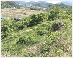  2025Ÿ20529 泲 Ծȱ ĥϸ ȭõ 306      (1)