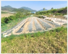  2025Ÿ20529 泲 Ծȱ ĥϸ ȭõ 306      (1)