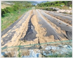  2025Ÿ20529 泲 Ծȱ ĥϸ ȭõ 306      (1)