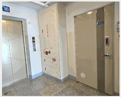  2025Ÿ20561 泲 â  1 13-1 ƮƮ 106 161604ȣ   Ʈ