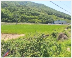  2025Ÿ20565 泲 â   ΰ 960     ()