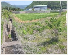  2025Ÿ20565 泲 â   ΰ 960     ()