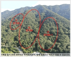  2025Ÿ20589 泲 Ծȱ ĥ  285-2      (Ӿ)