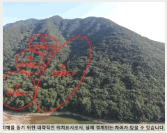  2025Ÿ20589 泲 Ծȱ ĥ  285-2      (Ӿ)