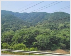  2025Ÿ20589 泲 Ծȱ ĥ  285-2      (Ӿ)