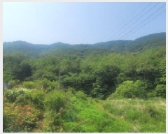  2025Ÿ20589 泲 Ծȱ ĥ  285-2      (Ӿ)