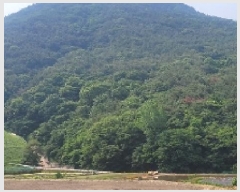  2025Ÿ20589 泲 Ծȱ ĥ  285-2      (Ӿ)