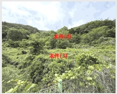  2025Ÿ��20601 �泲 â���� ���������� ������ ��ϸ� 36     ����(��)���