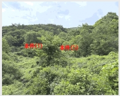  2025Ÿ��20601 �泲 â���� ���������� ������ ��ϸ� 36     ����(��)���