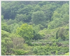  2025Ÿ��20601 �泲 â���� ���������� ������ ��ϸ� 36     ����(��)���