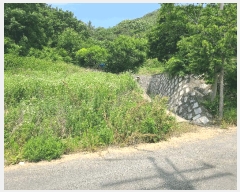  2025Ÿ20618 泲 â   ɸ 767-22     ()