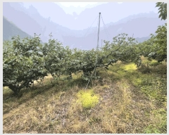  2025Ÿ20649 泲 Ծȱ ĥϸ  139-3      (Ӿ)