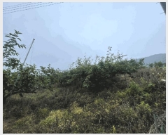  2025Ÿ20649 泲 Ծȱ ĥϸ  139-3      (Ӿ)