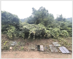  2025Ÿ20649 泲 Ծȱ ĥϸ  139-3      (Ӿ)