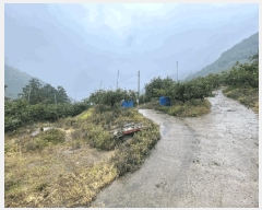  2025Ÿ20649 泲 Ծȱ ĥϸ  139-3      (Ӿ)