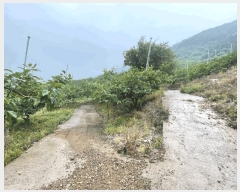  2025Ÿ20649 泲 Ծȱ ĥϸ  139-3      (Ӿ)