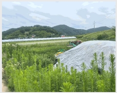  2025Ÿ20665 泲 Ƿɱ  Ʊٸ 707      ()