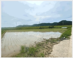  2025Ÿ20665 泲 Ƿɱ  Ʊٸ 707      ()