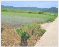  2025Ÿ20665 泲 Ƿɱ  Ʊٸ 707      ()