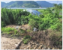  2025Ÿ20665 泲 Ƿɱ  Ʊٸ 707      ()