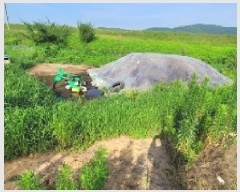  2025Ÿ20665 泲 Ƿɱ  Ʊٸ 707      ()