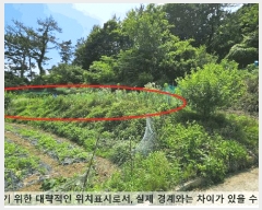  2025Ÿ20679 泲 â    598-1     (1)