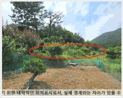  2025Ÿ20679 泲 â    598-1     (1)