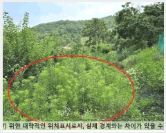  2025Ÿ20679 泲 â    598-1     (1)