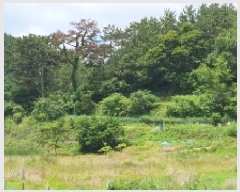  2025Ÿ20679 泲 â    598-1     (1)