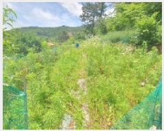  2025Ÿ20679 泲 â    598-1     (1)