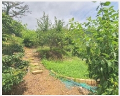  2025Ÿ20679 泲 â    598-1     (1)