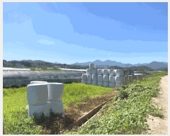  2025Ÿ��20730 �泲 �Ծȱ� ���ϸ� ������ 1370-1      ����(��)���