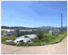  2025Ÿ��20730 �泲 �Ծȱ� ���ϸ� ������ 1370-1      ����(��)���