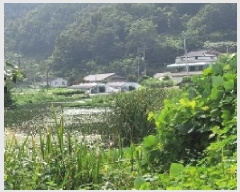  2025Ÿ��20759 �泲 �Ծȱ� ���� ��ϸ� 864-1      ����(��)���