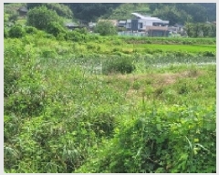  2025Ÿ��20759 �泲 �Ծȱ� ���� ��ϸ� 864-1      ����(��)���